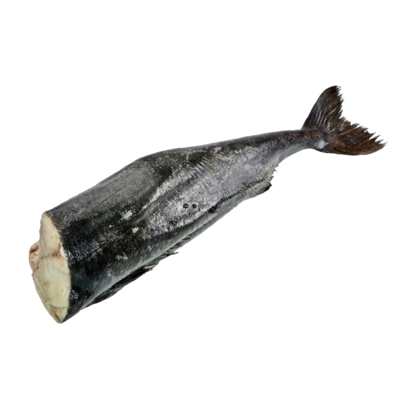 Рыба уголь фото